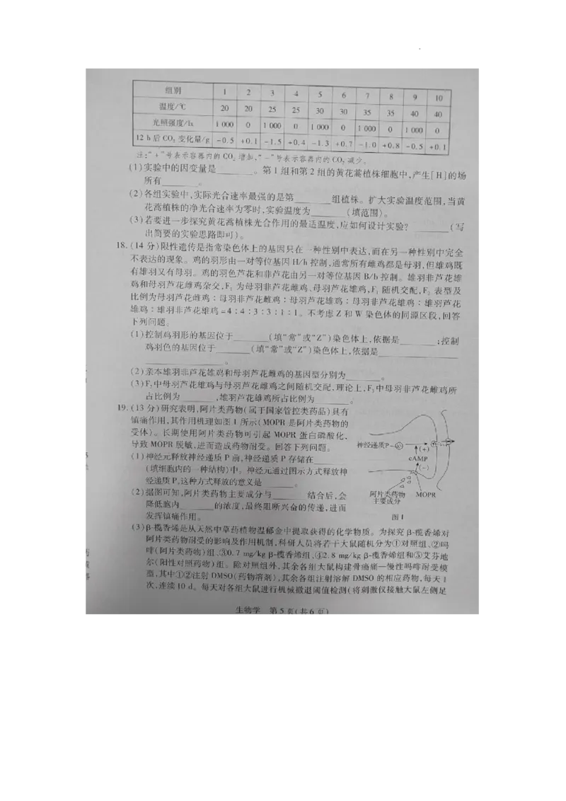 生物试卷_2023年8月_01每日更新_30号_2024届江西省稳派上进教育高三上学期8月入学摸底考试_江西省稳派上进2023-2024学年高三上学期入学摸底考试生物试题