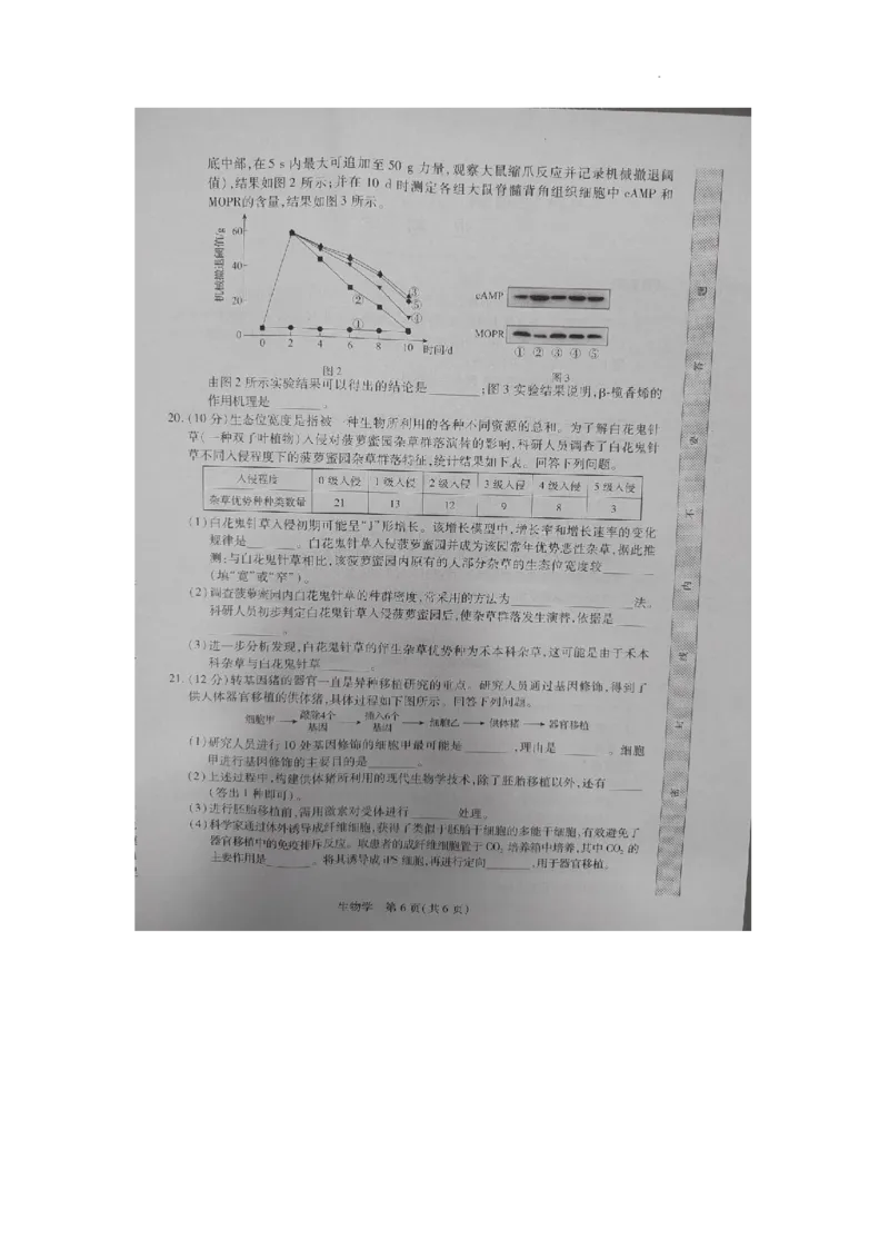 生物试卷_2023年8月_01每日更新_30号_2024届江西省稳派上进教育高三上学期8月入学摸底考试_江西省稳派上进2023-2024学年高三上学期入学摸底考试生物试题