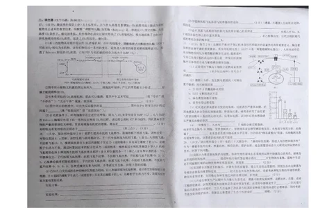 江西省九校联盟2023-2024学年高三上学期8月联合考试生物(1)_2023年8月_028月合集_2024届江西省九校联盟高三上学期8月联合考试（全科）