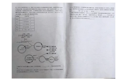 江西省九校联盟2023-2024学年高三上学期8月联合考试生物(1)_2023年8月_028月合集_2024届江西省九校联盟高三上学期8月联合考试（全科）