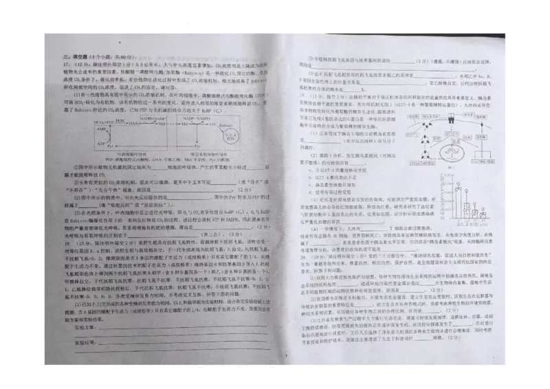 江西省九校联盟2023-2024学年高三上学期8月联合考试生物(1)_2023年8月_028月合集_2024届江西省九校联盟高三上学期8月联合考试（全科）