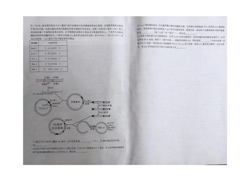 江西省九校联盟2023-2024学年高三上学期8月联合考试生物(1)_2023年8月_028月合集_2024届江西省九校联盟高三上学期8月联合考试（全科）