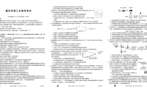 重庆金太阳高三上(9月联考)-生物试题+答案(1)_2023年9月_029月合集_2024届重庆金太阳高三上学期9月联考（1005C）