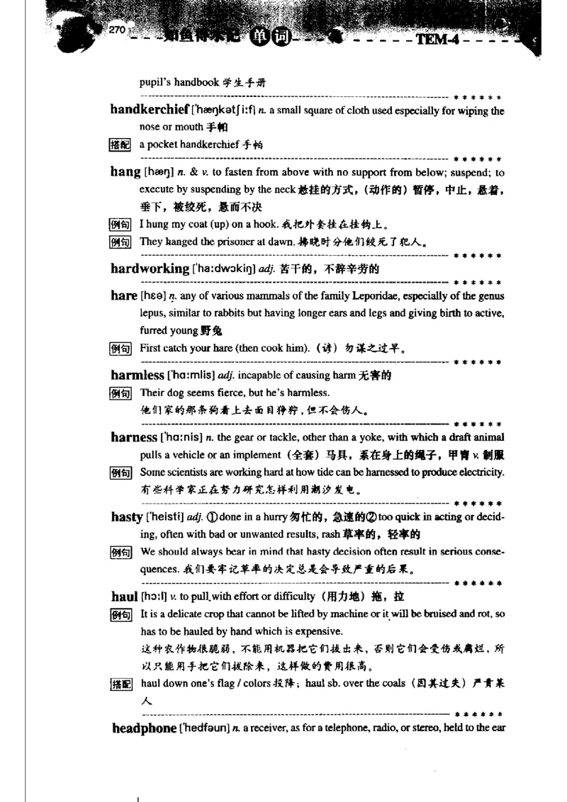 《如鱼得水记单词专业四级词汇语境记忆》_2025专四专八真题及备考资料_2009-2024专四真题+备考资料_2024专四备考资料合辑（电子书）_24专四词汇_专四词汇《如鱼得水记单词》
