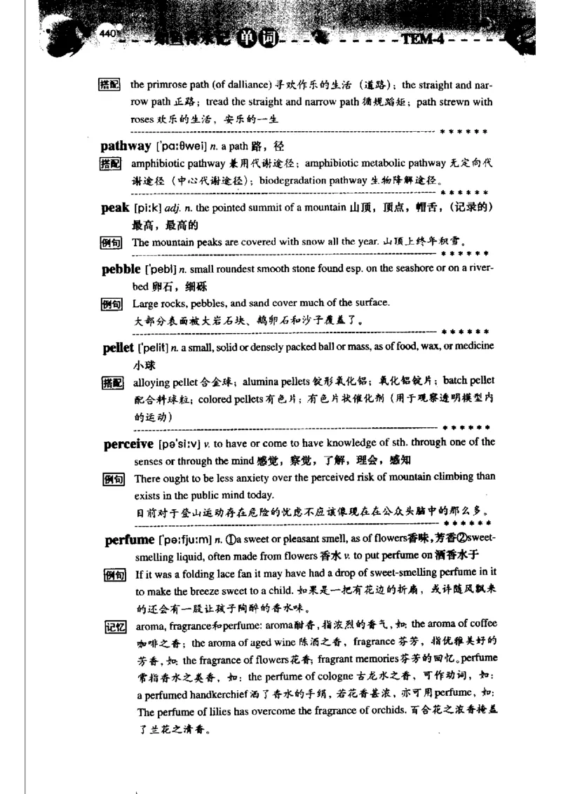 《如鱼得水记单词专业四级词汇语境记忆》_2025专四专八真题及备考资料_2009-2024专四真题+备考资料_2024专四备考资料合辑（电子书）_24专四词汇_专四词汇《如鱼得水记单词》