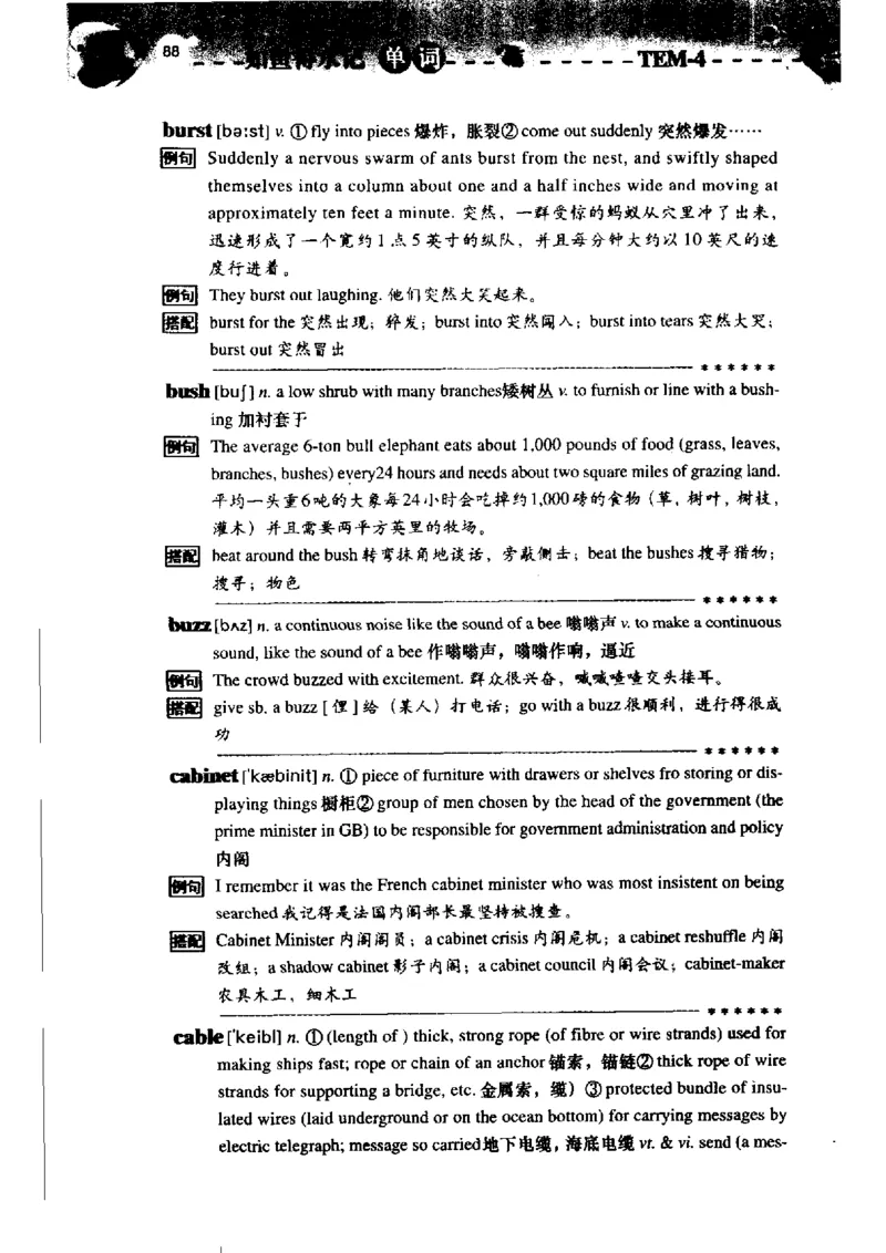 《如鱼得水记单词专业四级词汇语境记忆》_2025专四专八真题及备考资料_2009-2024专四真题+备考资料_2024专四备考资料合辑（电子书）_24专四词汇_专四词汇《如鱼得水记单词》