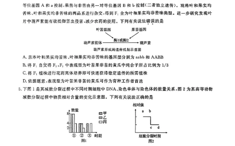 生物_2023年8月_01每日更新_18号_2024届湖北省圆创高中名校联盟高三上学期第一次联合测评_湖北省圆创高中名校联盟2024届高三上学期第一次联合测评生物