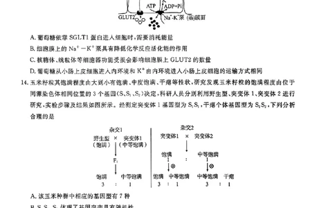 生物_2023年8月_01每日更新_18号_2024届湖北省圆创高中名校联盟高三上学期第一次联合测评_湖北省圆创高中名校联盟2024届高三上学期第一次联合测评生物