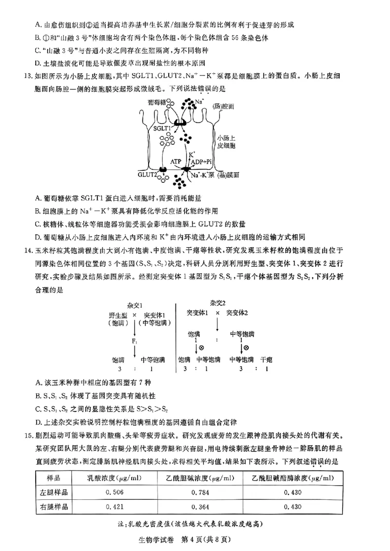 生物_2023年8月_01每日更新_18号_2024届湖北省圆创高中名校联盟高三上学期第一次联合测评_湖北省圆创高中名校联盟2024届高三上学期第一次联合测评生物