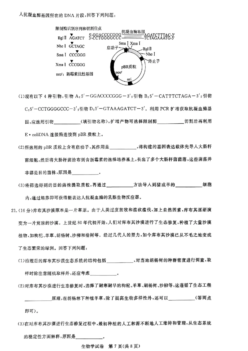 生物_2023年8月_01每日更新_18号_2024届湖北省圆创高中名校联盟高三上学期第一次联合测评_湖北省圆创高中名校联盟2024届高三上学期第一次联合测评生物