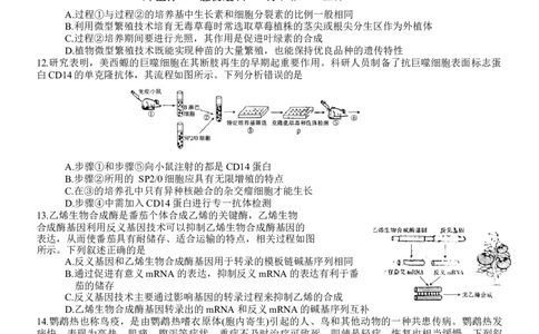 重庆好教育联盟2024届高三金太阳9月开学联考生物试题_2023年9月_01每日更新_11号_2024届重庆好教育联盟高三金太阳9月开学联考_重庆好教育联盟2024届高三金太阳9月开学联考生物