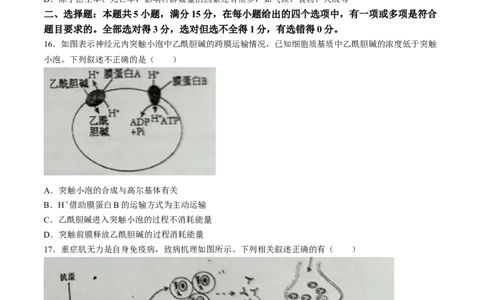 辽宁省葫芦岛市2024届高三下学期第二次模拟考试生物Word版含答案(1)_2024年6月(1)_026月合集_2024届辽宁省葫芦岛市高三下学期第二次模拟考试