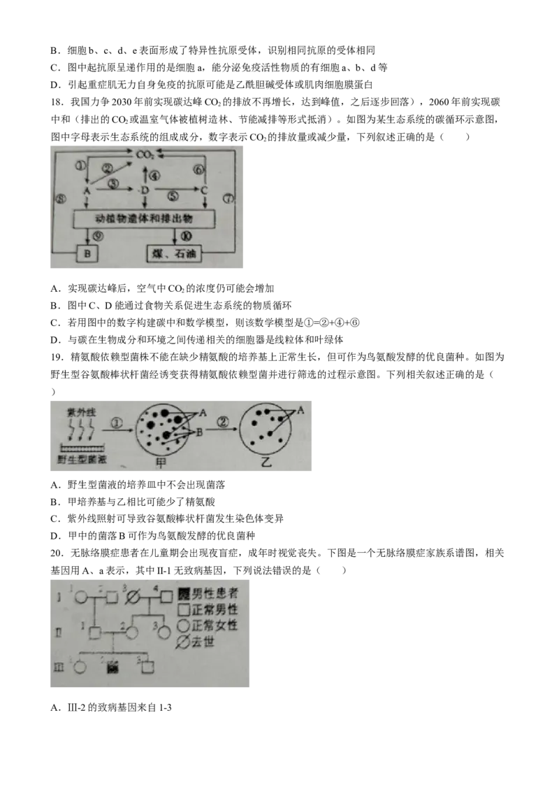 辽宁省葫芦岛市2024届高三下学期第二次模拟考试生物Word版含答案(1)_2024年6月(1)_026月合集_2024届辽宁省葫芦岛市高三下学期第二次模拟考试