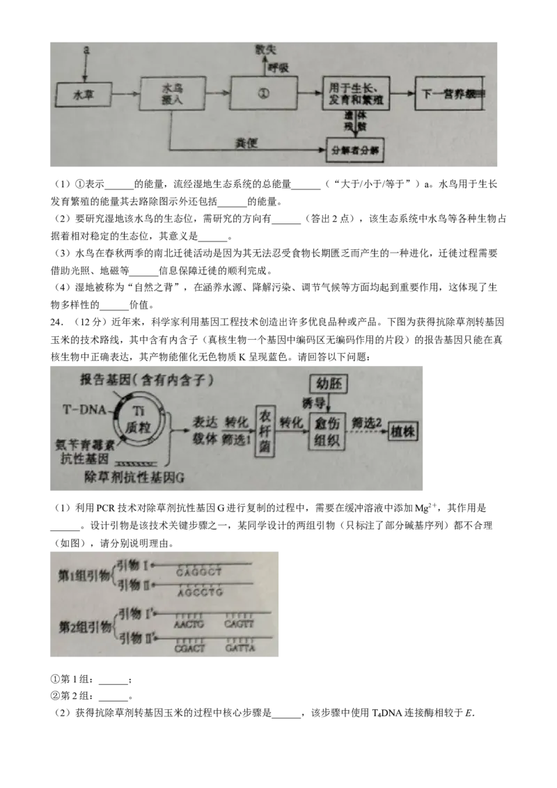 辽宁省葫芦岛市2024届高三下学期第二次模拟考试生物Word版含答案(1)_2024年6月(1)_026月合集_2024届辽宁省葫芦岛市高三下学期第二次模拟考试
