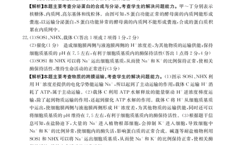 生物12C答案(1)_2023年10月_0210月合集_2024届山东省金太阳高三上学期十月联考（金太阳24-12C）_2024届山东省部分学校高三上学期十月联考生物试题