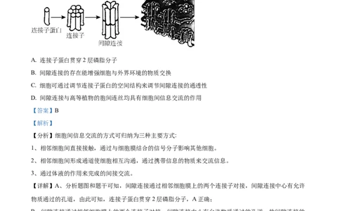 湖南省衡阳市第八中学2023-2024学年高三上学期第二次月考生物答案(1)_2023年10月_01每日更新_26号_2024届湖南省衡阳市第八中学高三上学期第二次月考