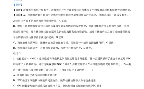 湖南省衡阳市第八中学2023-2024学年高三上学期第二次月考生物答案(1)_2023年10月_01每日更新_26号_2024届湖南省衡阳市第八中学高三上学期第二次月考