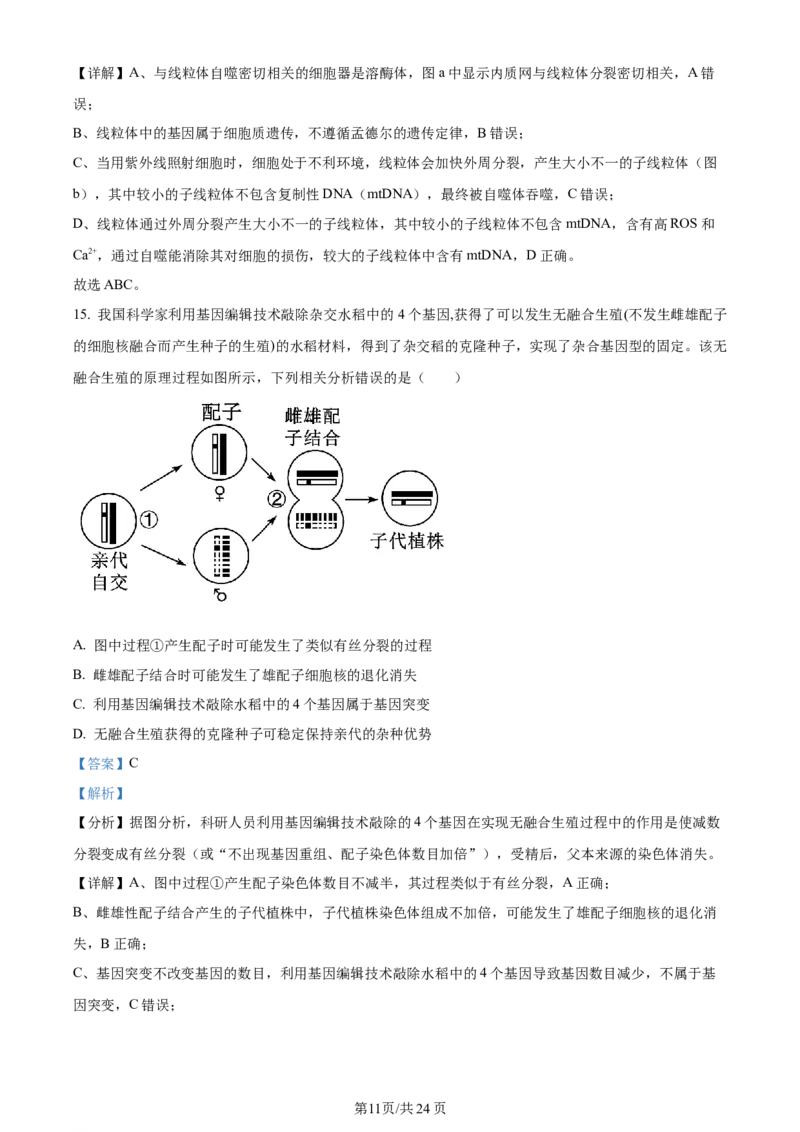 湖南省衡阳市第八中学2023-2024学年高三上学期第二次月考生物答案(1)_2023年10月_01每日更新_26号_2024届湖南省衡阳市第八中学高三上学期第二次月考