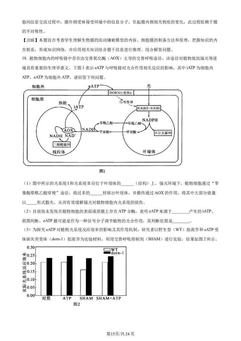 湖南省衡阳市第八中学2023-2024学年高三上学期第二次月考生物答案(1)_2023年10月_01每日更新_26号_2024届湖南省衡阳市第八中学高三上学期第二次月考