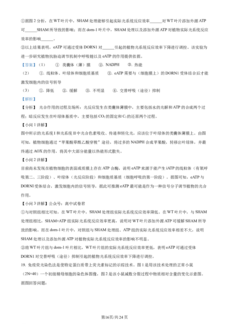 湖南省衡阳市第八中学2023-2024学年高三上学期第二次月考生物答案(1)_2023年10月_01每日更新_26号_2024届湖南省衡阳市第八中学高三上学期第二次月考