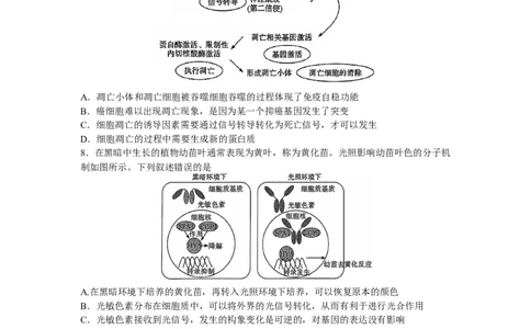河南省湘豫名校联考2023-2024学年高三上学期9月（一轮复习诊断考试）生物试题（word版）_2023年9月_01每日更新_23号_2024届湘豫名校联考高三上学期一轮诊断
