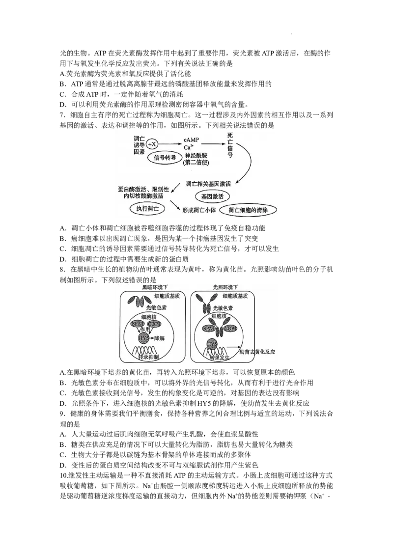 河南省湘豫名校联考2023-2024学年高三上学期9月（一轮复习诊断考试）生物试题（word版）_2023年9月_01每日更新_23号_2024届湘豫名校联考高三上学期一轮诊断