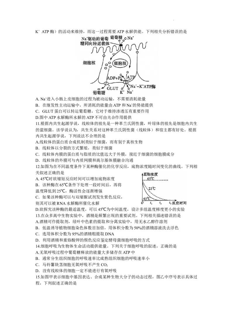 河南省湘豫名校联考2023-2024学年高三上学期9月（一轮复习诊断考试）生物试题（word版）_2023年9月_01每日更新_23号_2024届湘豫名校联考高三上学期一轮诊断