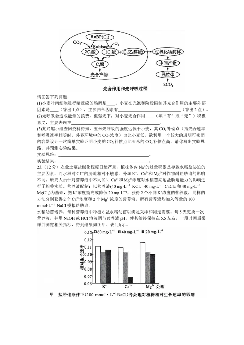河南省湘豫名校联考2023-2024学年高三上学期9月（一轮复习诊断考试）生物试题（word版）_2023年9月_01每日更新_23号_2024届湘豫名校联考高三上学期一轮诊断