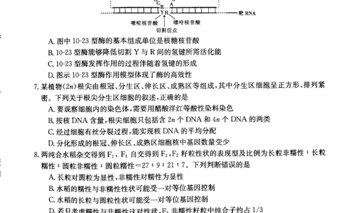 甘肃省白银市靖远县2022-2023学年高三上学期开学考试生物试题(1)_2023年7月_027月合集_2023届金太阳高三9月百万联考1003C