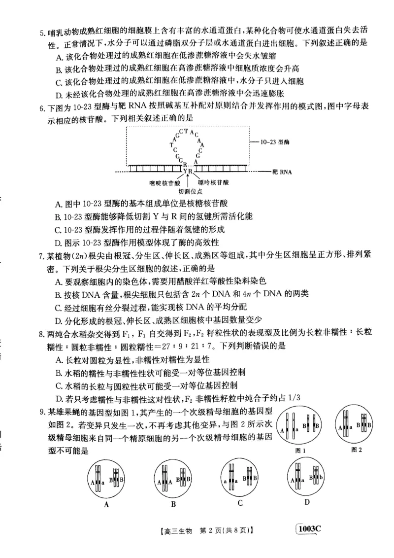 甘肃省白银市靖远县2022-2023学年高三上学期开学考试生物试题(1)_2023年7月_027月合集_2023届金太阳高三9月百万联考1003C