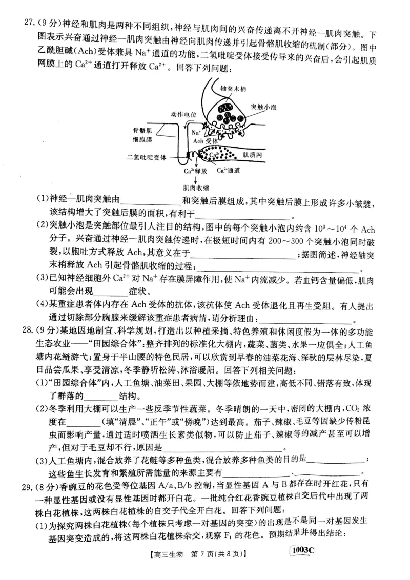 甘肃省白银市靖远县2022-2023学年高三上学期开学考试生物试题(1)_2023年7月_027月合集_2023届金太阳高三9月百万联考1003C