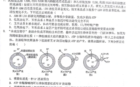 生物试题(1)_2023年10月_0210月合集_2024届甘肃金太阳高三上学期10月阶段检测（24-114C）_甘肃金太阳2024届高三上学期10月阶段检测（24-114C）生物