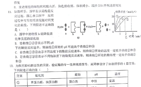 生物试题(1)_2023年10月_0210月合集_2024届甘肃金太阳高三上学期10月阶段检测（24-114C）_甘肃金太阳2024届高三上学期10月阶段检测（24-114C）生物