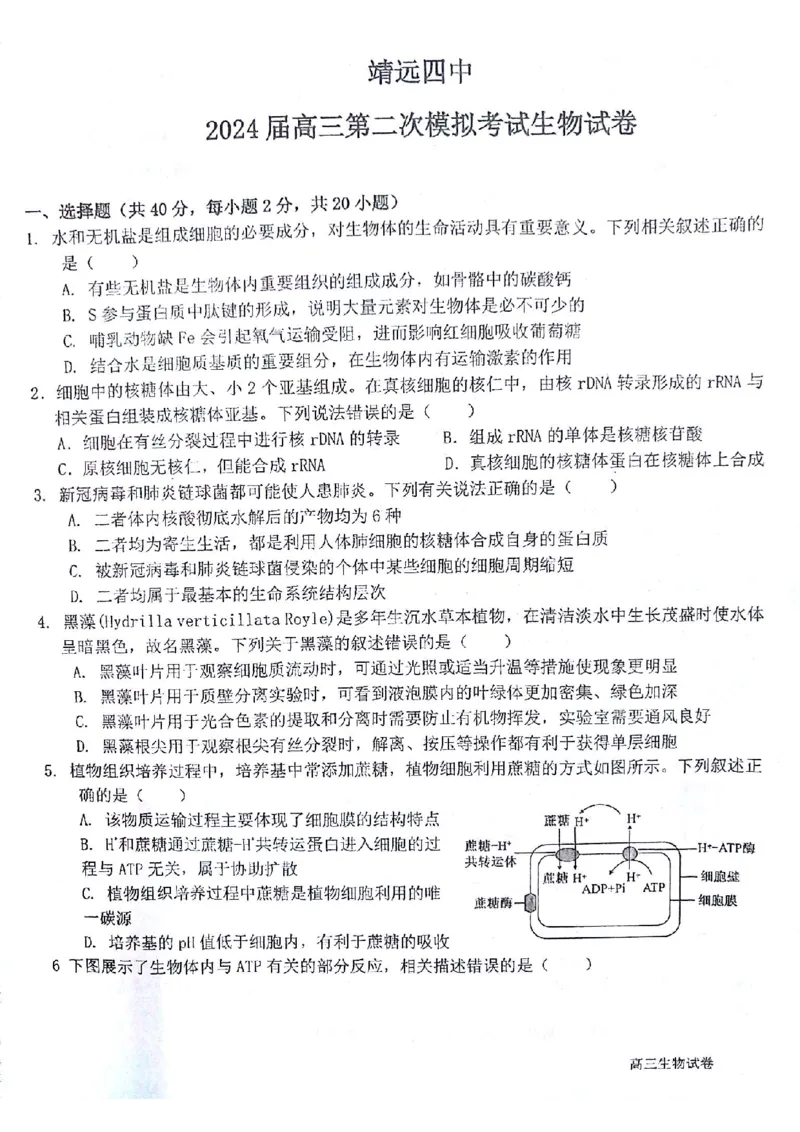生物试题(1)_2023年10月_0210月合集_2024届甘肃金太阳高三上学期10月阶段检测（24-114C）_甘肃金太阳2024届高三上学期10月阶段检测（24-114C）生物