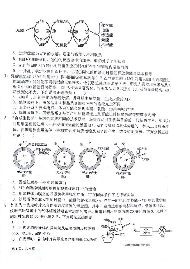 生物试题(1)_2023年10月_0210月合集_2024届甘肃金太阳高三上学期10月阶段检测（24-114C）_甘肃金太阳2024届高三上学期10月阶段检测（24-114C）生物