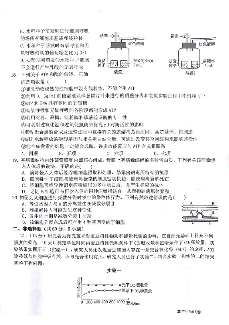 生物试题(1)_2023年10月_0210月合集_2024届甘肃金太阳高三上学期10月阶段检测（24-114C）_甘肃金太阳2024届高三上学期10月阶段检测（24-114C）生物