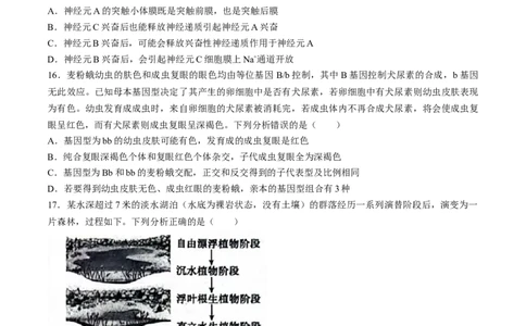 2024届河北省市沧州市高三下学期复习质量检测（二模）生物试题_2024年4月_01按日期_18号_2024届河北省沧州市高三总复习质量监测（二模）