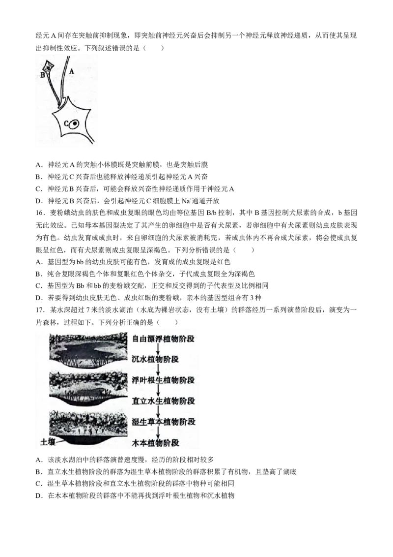 2024届河北省市沧州市高三下学期复习质量检测（二模）生物试题_2024年4月_01按日期_18号_2024届河北省沧州市高三总复习质量监测（二模）