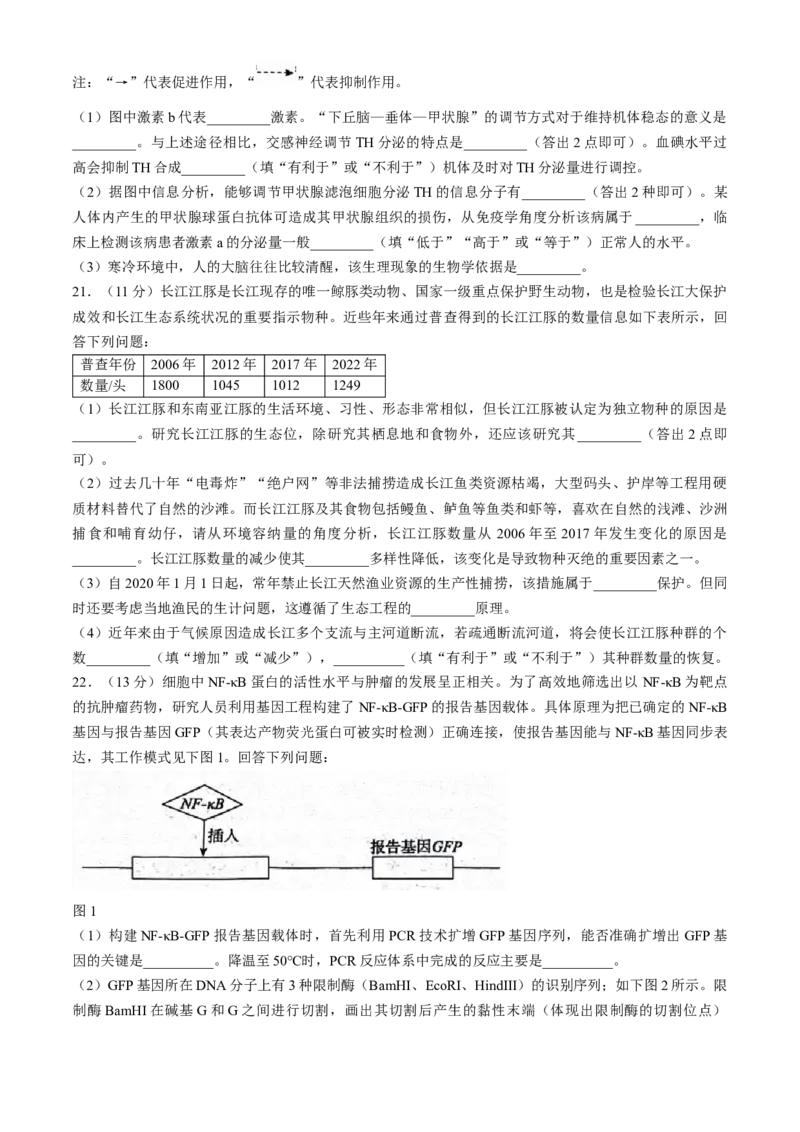 2024届河北省市沧州市高三下学期复习质量检测（二模）生物试题_2024年4月_01按日期_18号_2024届河北省沧州市高三总复习质量监测（二模）