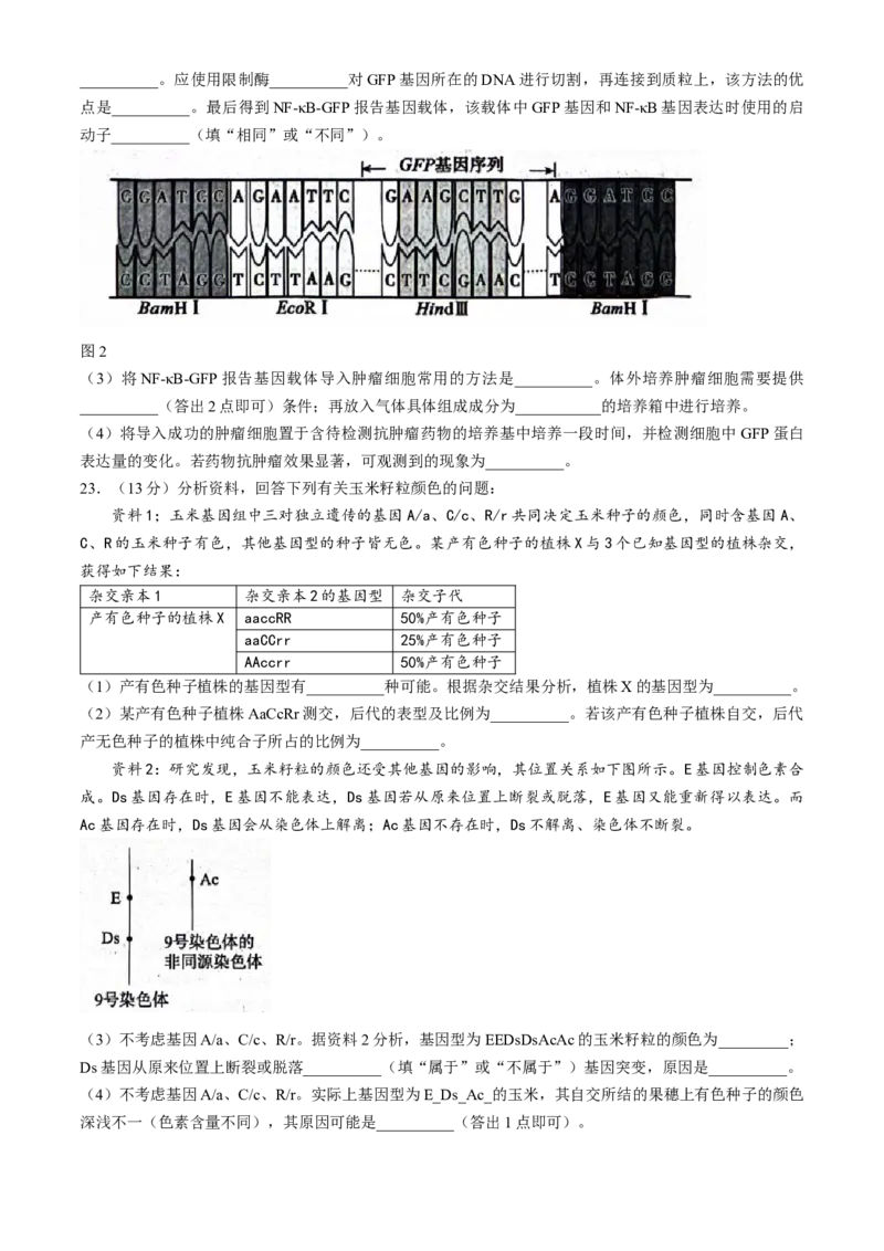 2024届河北省市沧州市高三下学期复习质量检测（二模）生物试题_2024年4月_01按日期_18号_2024届河北省沧州市高三总复习质量监测（二模）