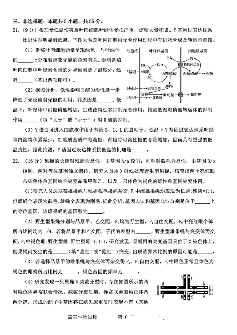 2024届山东省烟台、德州市高三下学期二模生物试题(1)_2024年5月_025月合集_2024届山东省烟台市德州市高三下学期二模考试