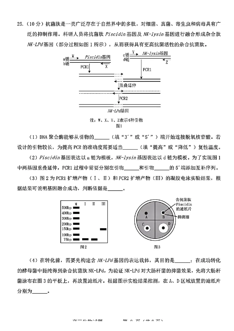 2024届山东省烟台、德州市高三下学期二模生物试题(1)_2024年5月_025月合集_2024届山东省烟台市德州市高三下学期二模考试