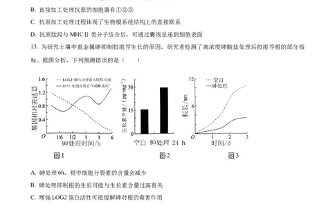 精品解析：2024年新课标高考生物真题吉林卷（原卷版）_2024年高考真题卷_2024年新高考黑龙江、吉林、辽宁高考真题_2024年新高考辽宁卷生物高考真题解析+参考版+适用地区辽宁+黑龙江+吉林