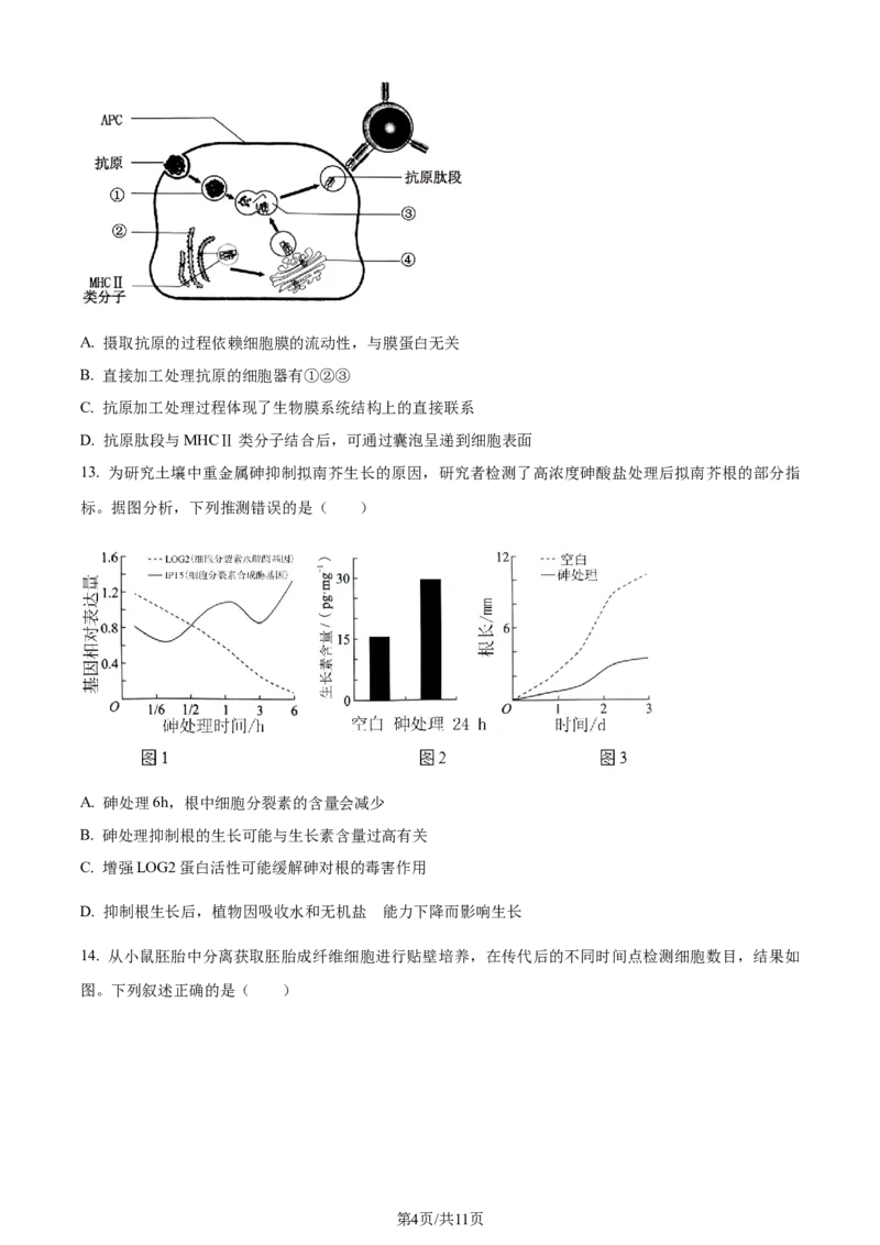 精品解析：2024年新课标高考生物真题吉林卷（原卷版）_2024年高考真题卷_2024年新高考黑龙江、吉林、辽宁高考真题_2024年新高考辽宁卷生物高考真题解析+参考版+适用地区辽宁+黑龙江+吉林