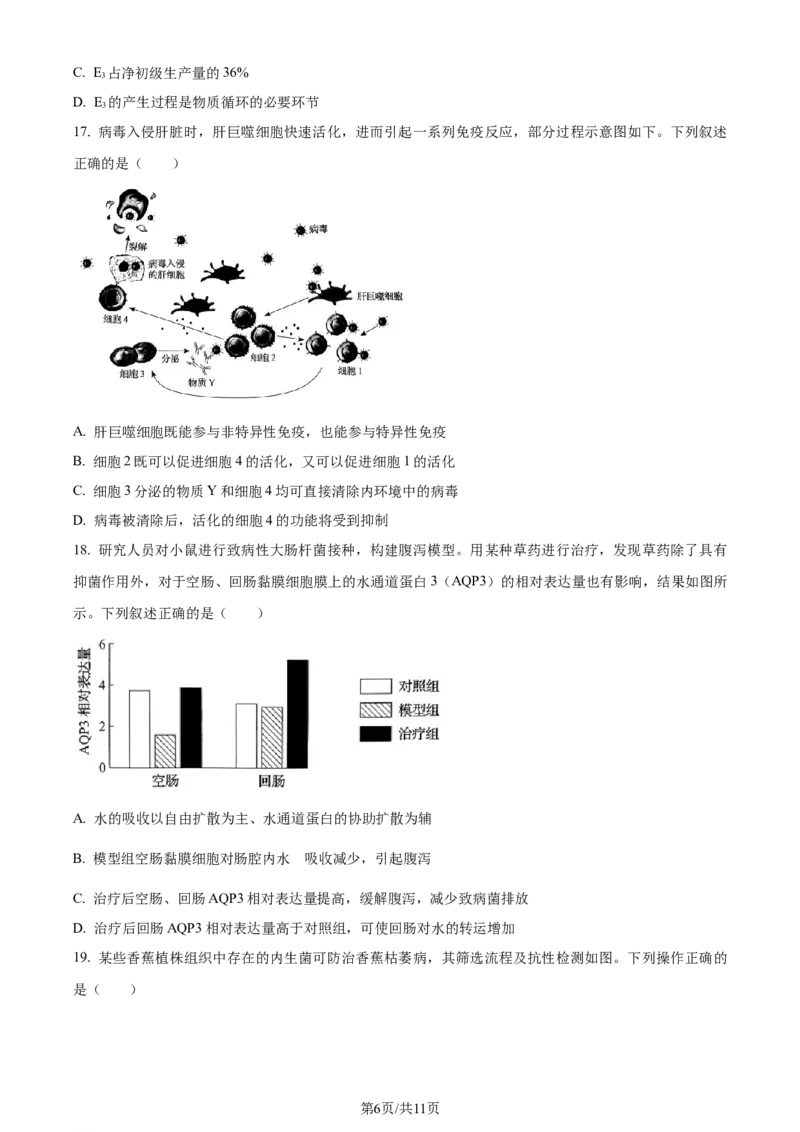 精品解析：2024年新课标高考生物真题吉林卷（原卷版）_2024年高考真题卷_2024年新高考黑龙江、吉林、辽宁高考真题_2024年新高考辽宁卷生物高考真题解析+参考版+适用地区辽宁+黑龙江+吉林