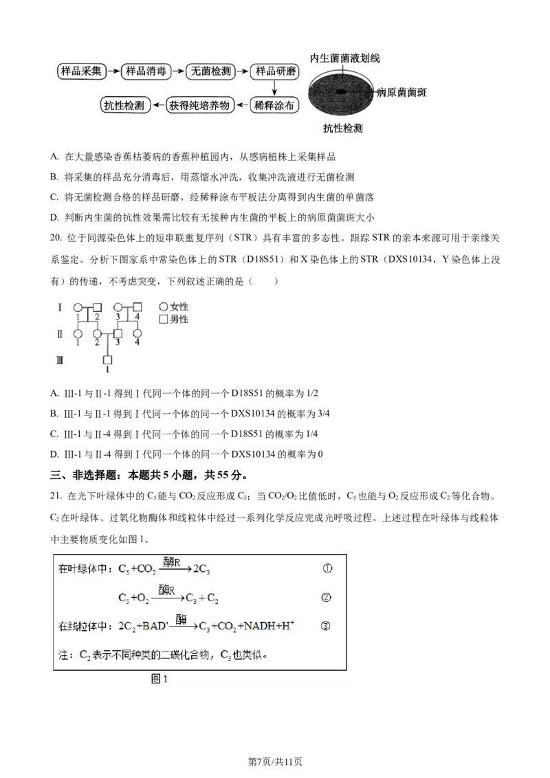 精品解析：2024年新课标高考生物真题吉林卷（原卷版）_2024年高考真题卷_2024年新高考黑龙江、吉林、辽宁高考真题_2024年新高考辽宁卷生物高考真题解析+参考版+适用地区辽宁+黑龙江+吉林