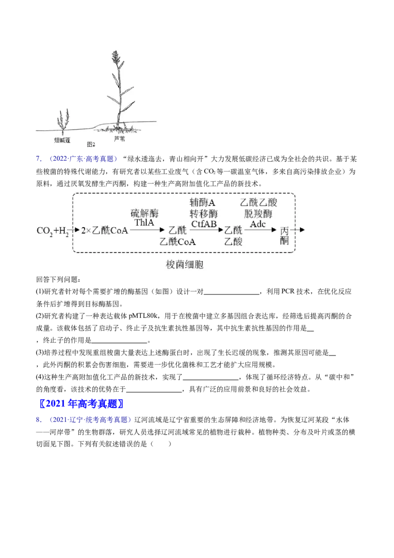 专题18生态系统-五年（2019-2023）高考生物真题分项汇编（全国通用）（原卷版）_赠送：2008-2024全套高考真题_高考生物真题_送高考生物五年真题(2019-2023)分项汇编（全国通用）