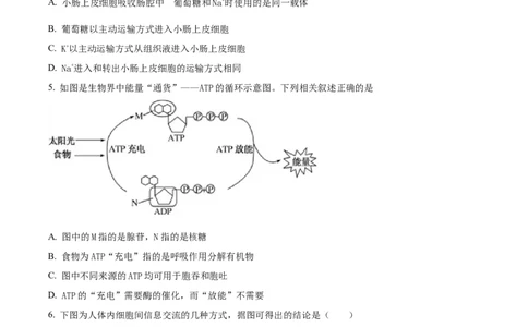 精品解析：天津市朱唐庄中学2023-2024学年高三10月月考生物试题（原卷版）(1)_2023年10月_0210月合集_2024届天津市朱唐庄中学高三上学期10月第一次检测