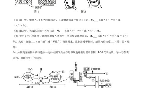 精品解析：天津市朱唐庄中学2023-2024学年高三10月月考生物试题（原卷版）(1)_2023年10月_0210月合集_2024届天津市朱唐庄中学高三上学期10月第一次检测
