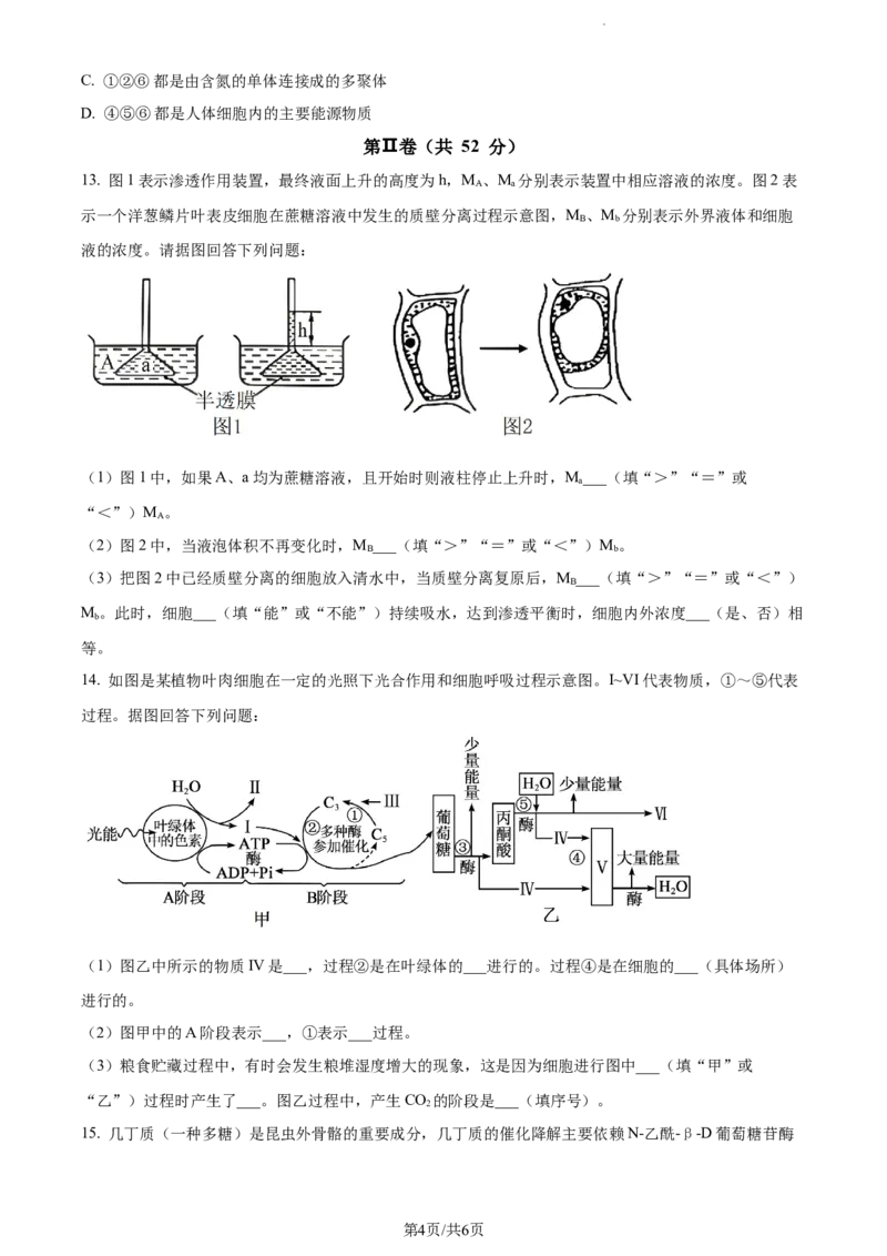 精品解析：天津市朱唐庄中学2023-2024学年高三10月月考生物试题（原卷版）(1)_2023年10月_0210月合集_2024届天津市朱唐庄中学高三上学期10月第一次检测